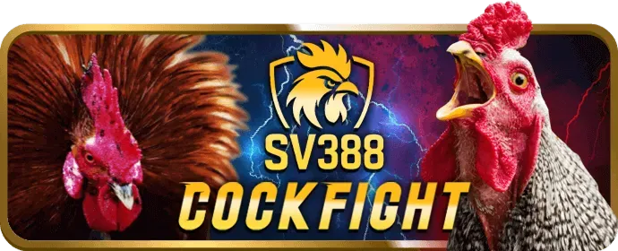 Các cấp độ VIP hihi88 chính thức